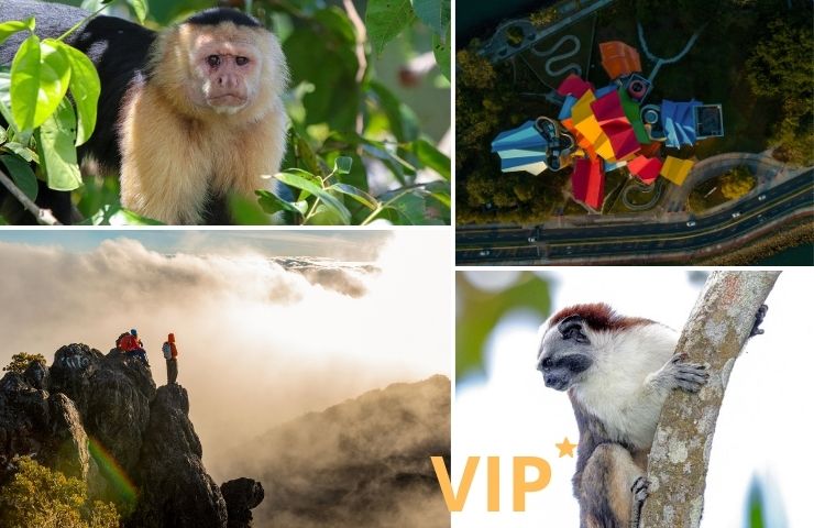 Chiriqui - vandring djur biomuseo Panama